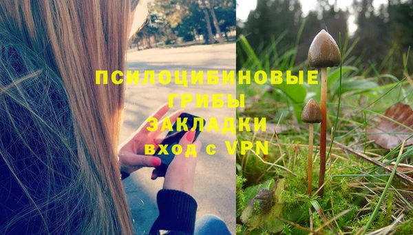 эйфоретик Балахна