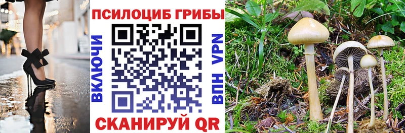 Галлюциногенные грибы Cubensis  Лебедянь 